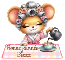 gif animé,BONNE JOURNEE,blinkie