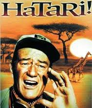 Hatari !
