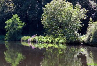 défi reflets d'Annie