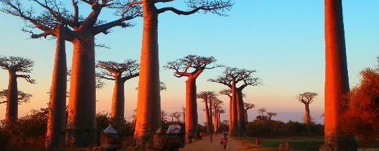 video projection lundi 10 novembre 2025: Madagascar