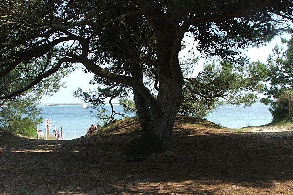 L'ile de RE en avril 2005