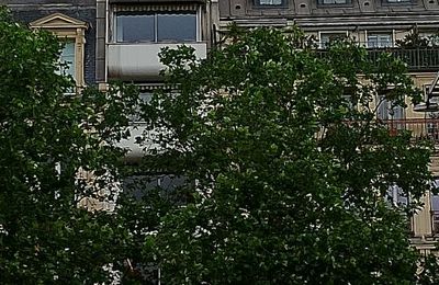 Nouvelles vues de Paris
