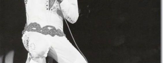 photo elvis