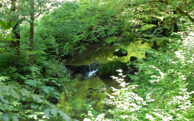 Reflets sur une rivière dans le Doubs