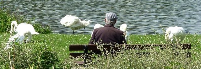 Je ne jouerai plus au jeu de l'oie...