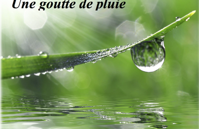 Bon Dimanche en Poésie 2025 !
