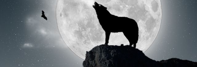 La nuit tous les chats sont gris