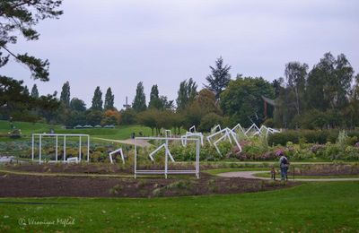 Parc floral de Paris :  Thème 2015 : Graphisme et texture