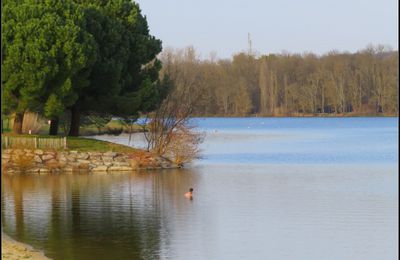 Un printemps en hiver
