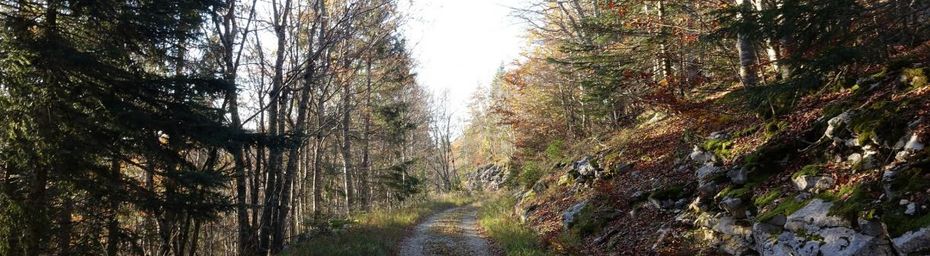 Escapade au Mont Margeriaz