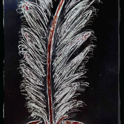 Plaisirs et joies de l'écriture