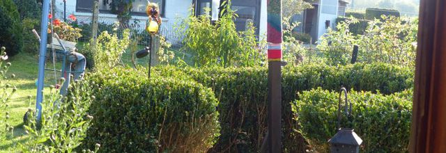 Travaux au jardin