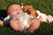 Avoir un chien, c'est bon pour bébé