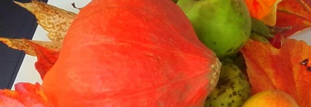 lundi chez BERNIE  couleur orange  octobre 