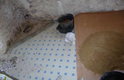 SDB - Papier peint et balancoire