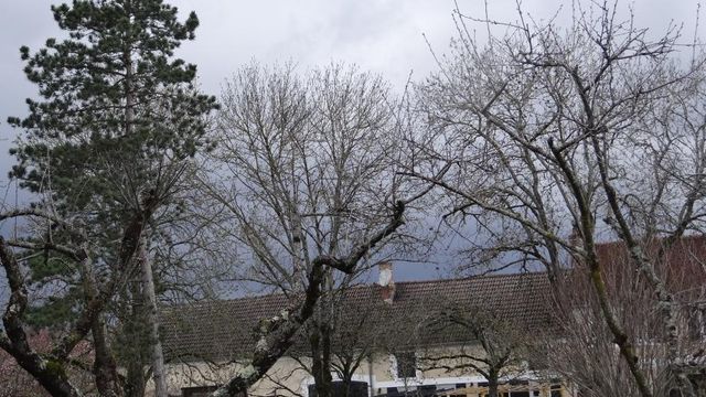 Janvier et au Jardin