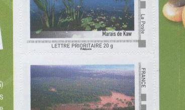 Guyane 2011 : Marais de Kaw et Fleuve Oyapock