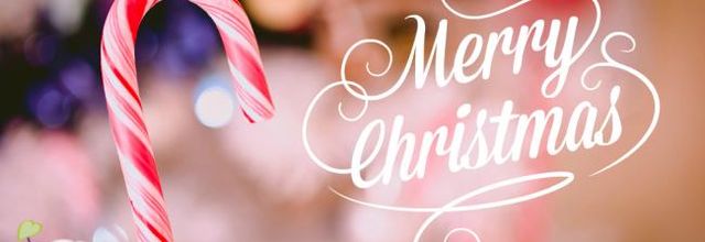 Joyeux Noël ! 