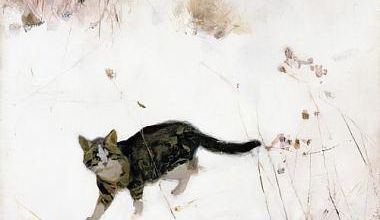 Tableau du samedi 57 : Traque de chat sur la neige