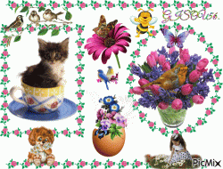 LE PRINTEMPS ARRIVE