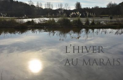 L'hiver au marais