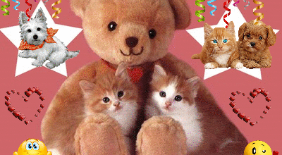 PELUCHE ANIMAUX DECO