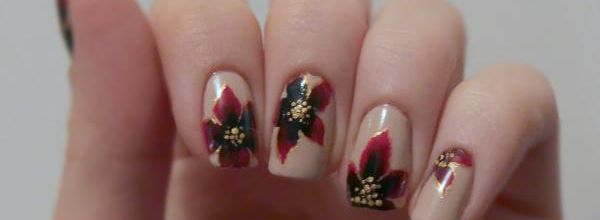 #NAFC Fleur de Noël