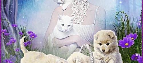  Respectons les animaux .