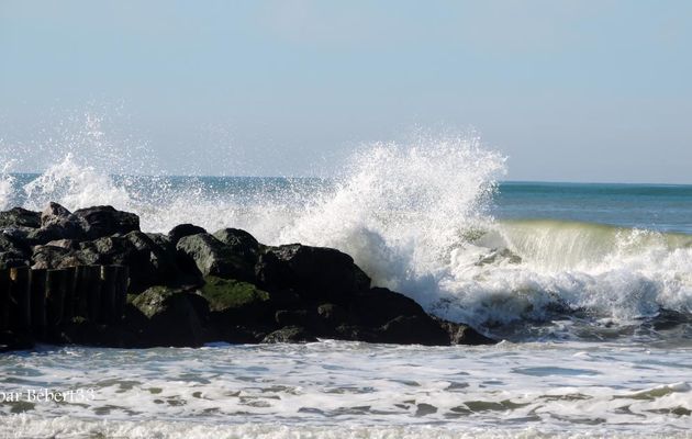 les vagues de Février 