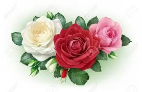 Les trois roses ... 