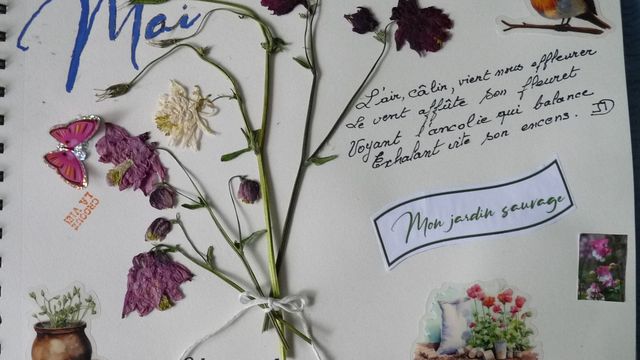 Le journal du mois : Mai 2025
