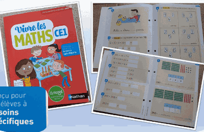 VIVRE LES MATHS pour les enfants a besoin spécifiques !