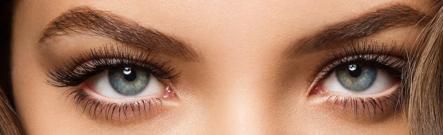 Quand la réalité nous saute aux yeux