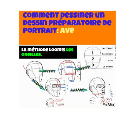 Dessin et peinture - vidéo 4512 : Comment dessiner un portrait en utilisant la méthode Loomis ? - dessin.
