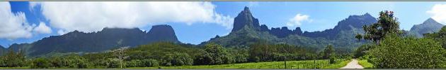 Panorama sur les montagnes vu du bas de la route du Belvédère : le Mou'a Puta (830 m), le Tohi'e'a (1207 m), le Mou'a Roa (880 m), le Mou'a Pu (762), ??? (749 m) - Moorea - Polynésie française