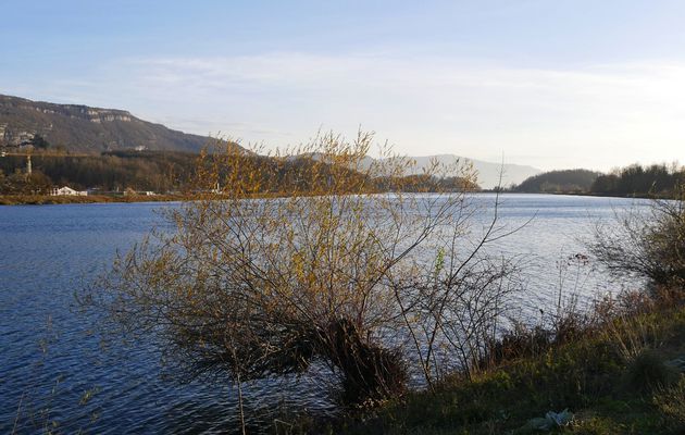 Le 28 novembre 2020 : sur les bords du Rhône