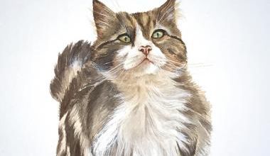 Hommage à Chevelu