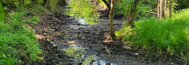 De la Seine à l'Essonne (5/6) : les marais
