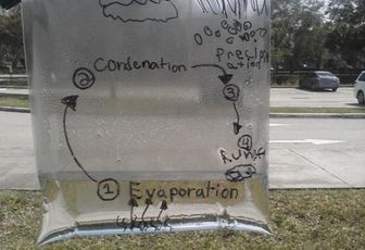 Le cycle de l'eau