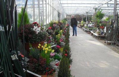 bonjour. me voila de retour.