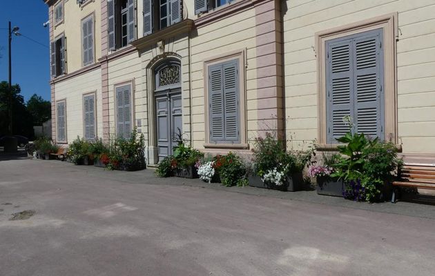 FLEURISSEMENT URBAIN - Suite
