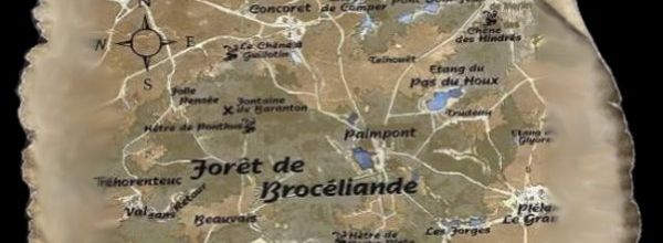 La forêt magique de brocéliande