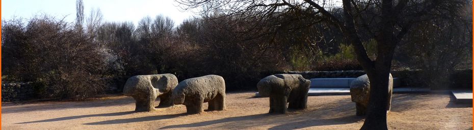 9 - Bilan de santé sur le Camino del Sureste