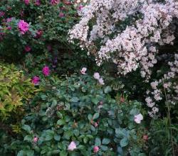 Escapade en Alsace : le jardin Vert Délire de Gisou