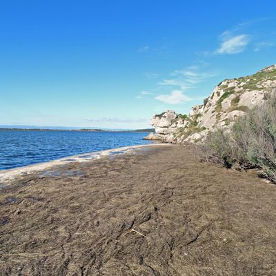 Le Sentier Les Goules et la Combe du Chinois à l'Île Saint-Martin de Gruissan