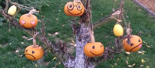 Halloween !!