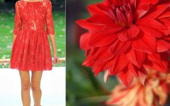 mode fashion garden flowers