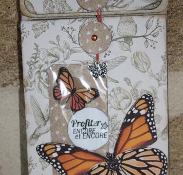 Pochette aux papillons