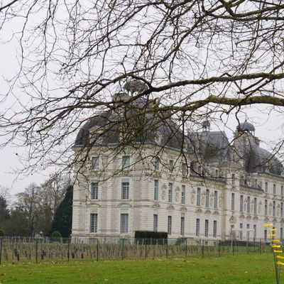 Fête des plantes au Château de Cheverny