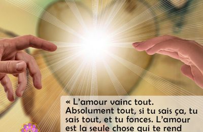Analyse d'une pratique active de la solidarité. - Bruno